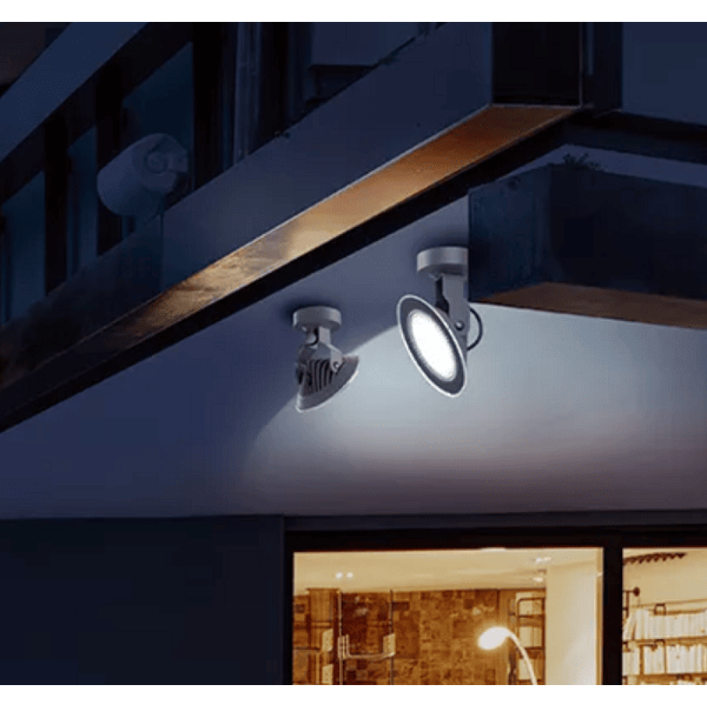 Lampada a spuntone da esterno a LED Fox 12W,riflettore IP65 grigio antracite Tierney Spot o Applique